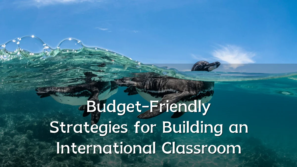 Budget-Friendly Strategies for Building an International Classroom