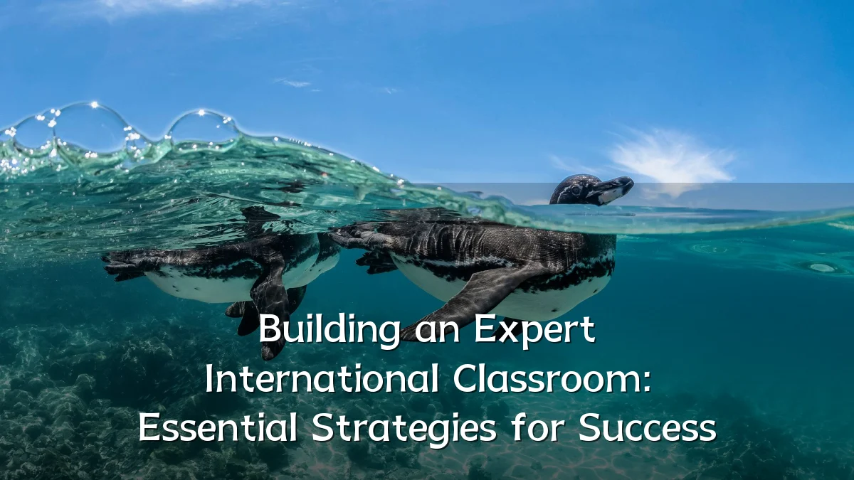 Building an Expert International Classroom: Essential Strategies for Success