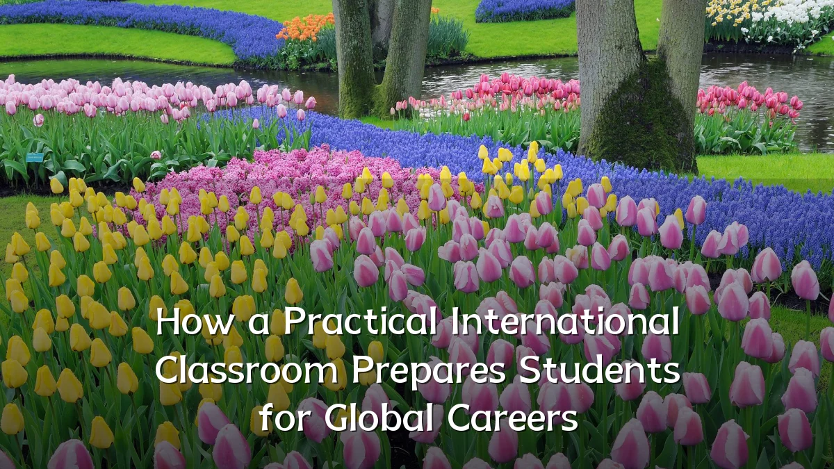 How a Practical International Classroom Prepares Students for Global Careers