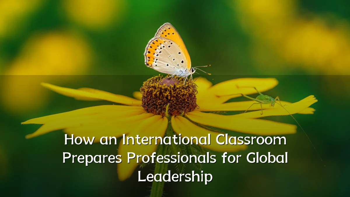 How an International Classroom Prepares Professionals for Global Leadership