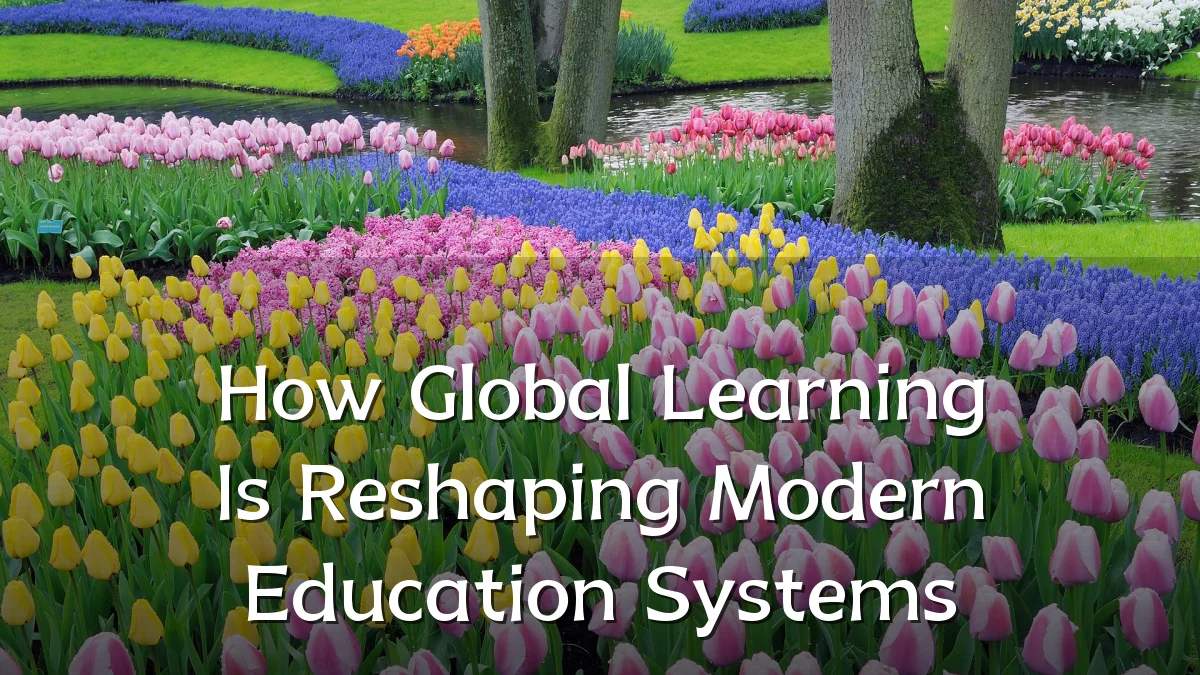 How Global Learning Is Reshaping Modern Education Systems