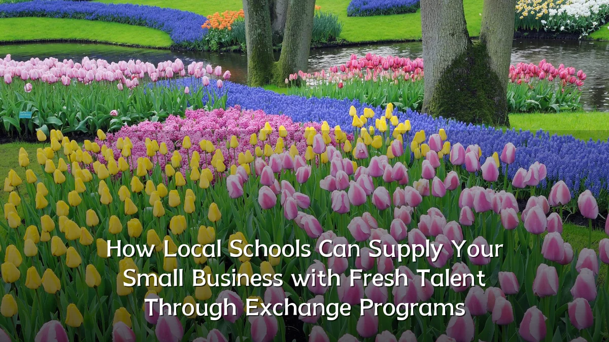 How Local Schools Can Supply Your Small Business with Fresh Talent Through Exchange Programs
