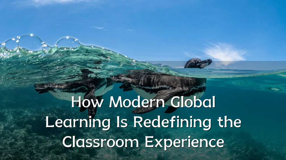How Modern Global Learning Is Redefining the Classroom Experience