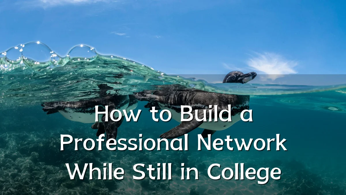 How to Build a Professional Network While Still in College