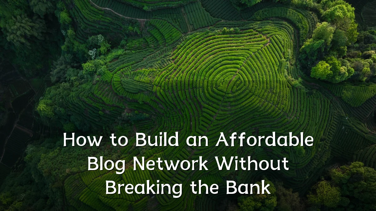 How to Build an Affordable Blog Network Without Breaking the Bank