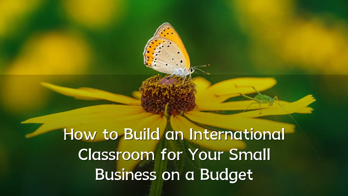 How to Build an International Classroom for Your Small Business on a Budget