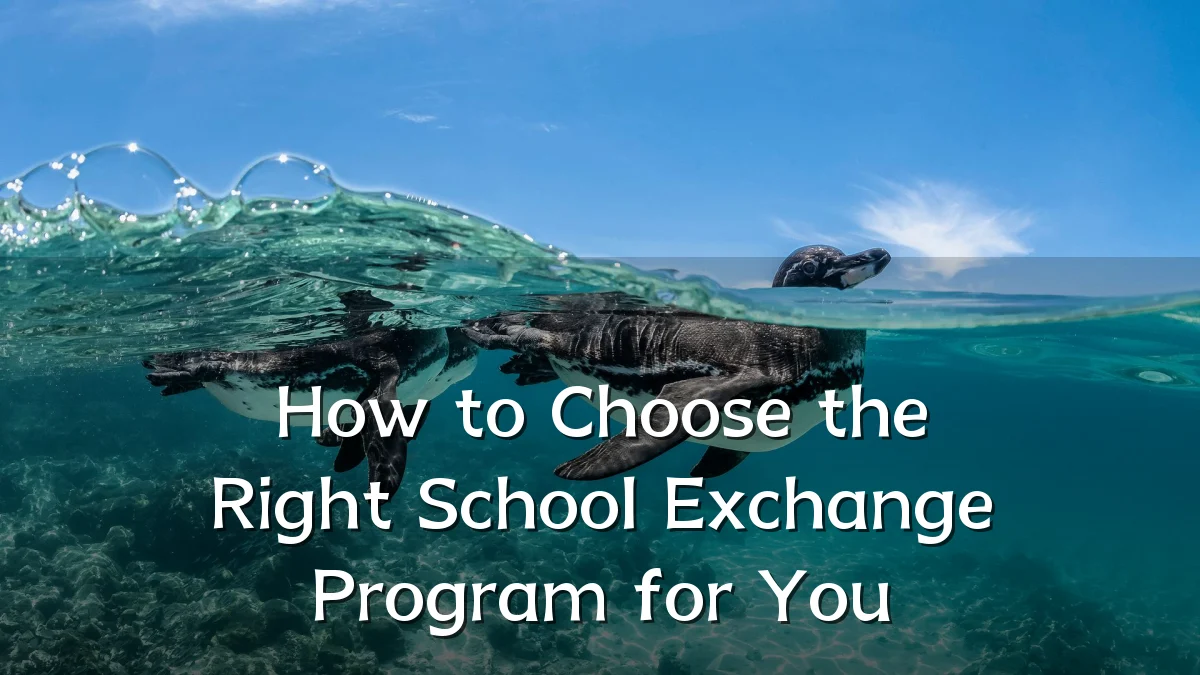 How to Choose the Right School Exchange Program for You