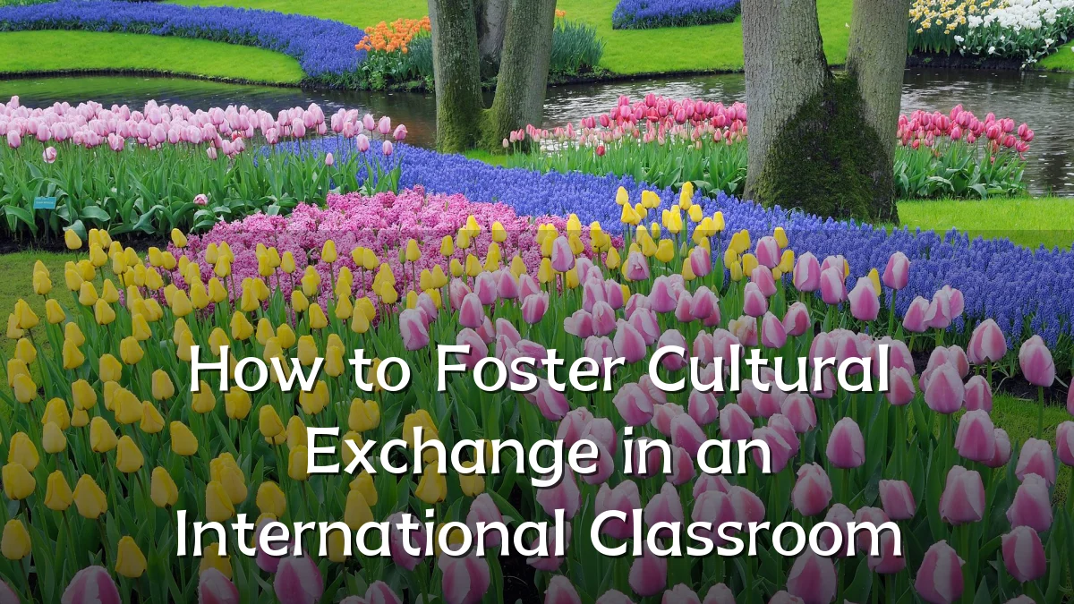 How to Foster Cultural Exchange in an International Classroom