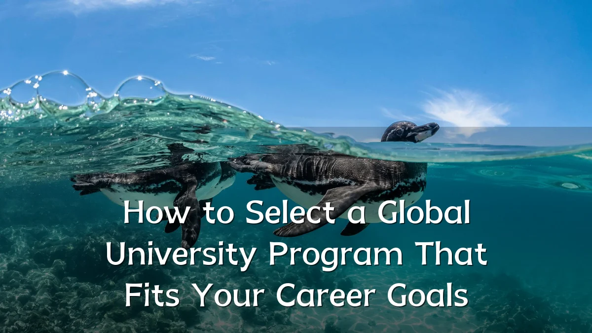 How to Select a Global University Program That Fits Your Career Goals