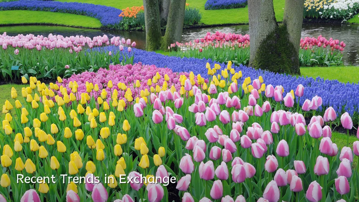 Recent Trends in Exchange
