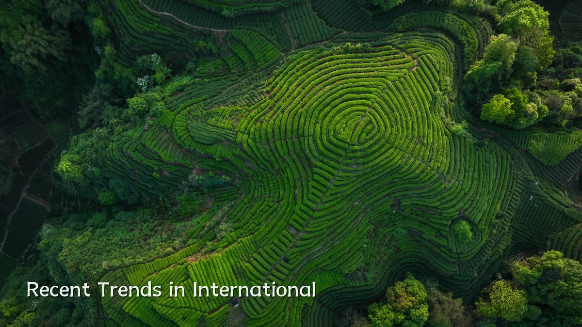 Recent Trends in International