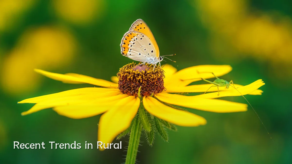 Recent Trends in Rural