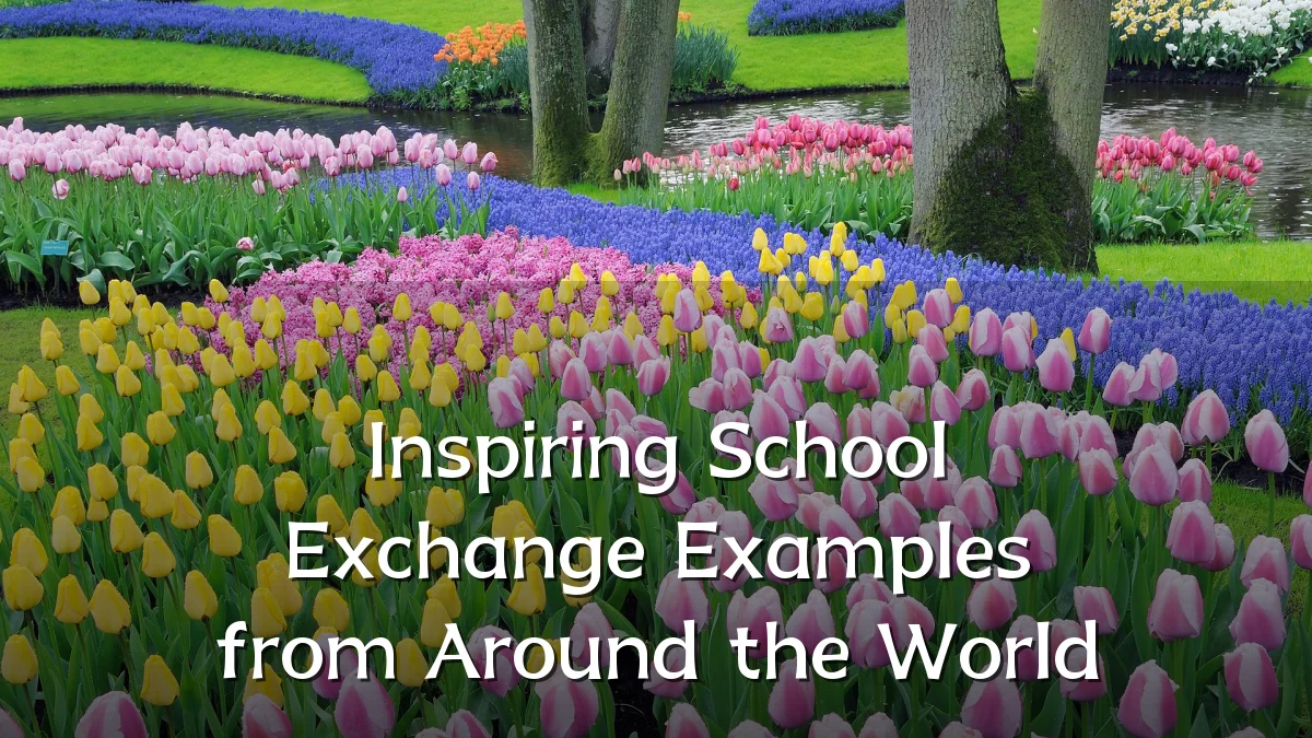 Inspiring School Exchange Examples from Around the World