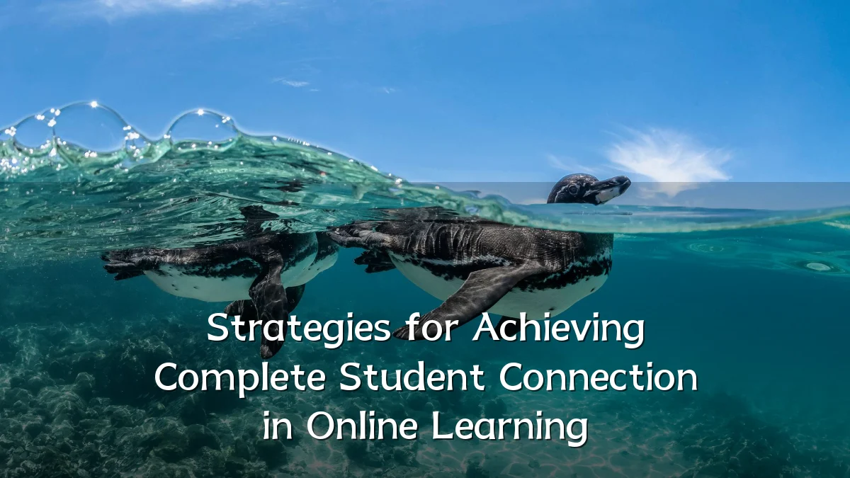 Strategies for Achieving Complete Student Connection in Online Learning