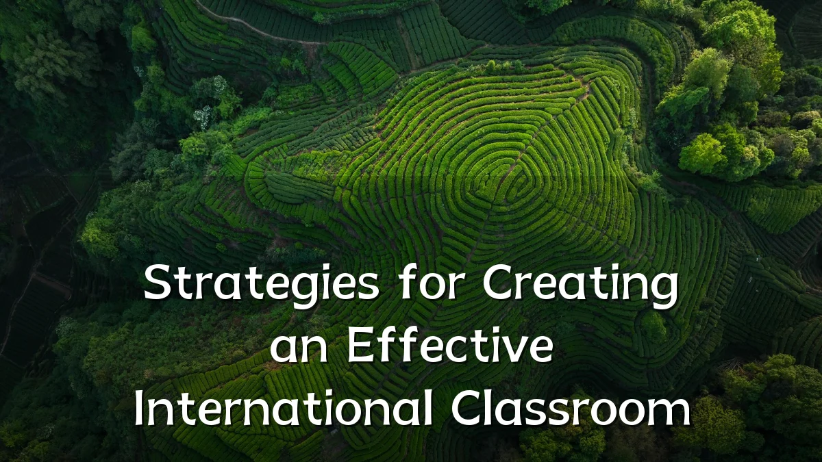 Strategies for Creating an Effective International Classroom