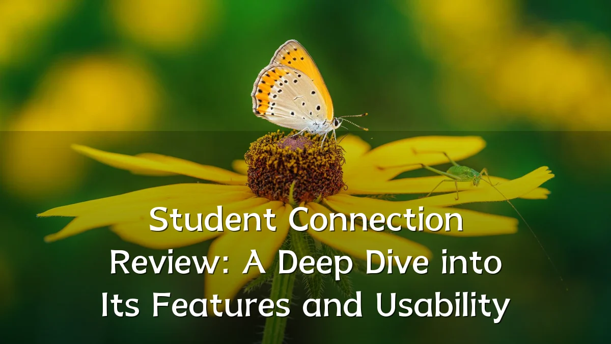Student Connection Review: A Deep Dive into Its Features and Usability