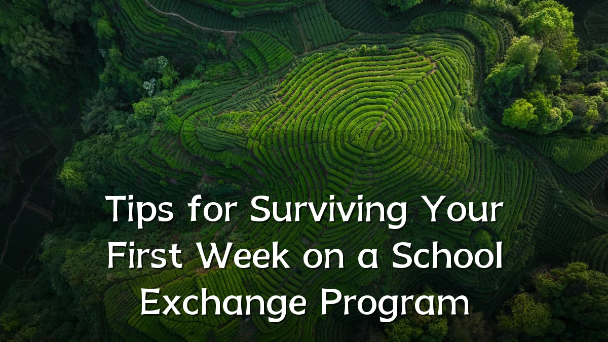Tips for Surviving Your First Week on a School Exchange Program