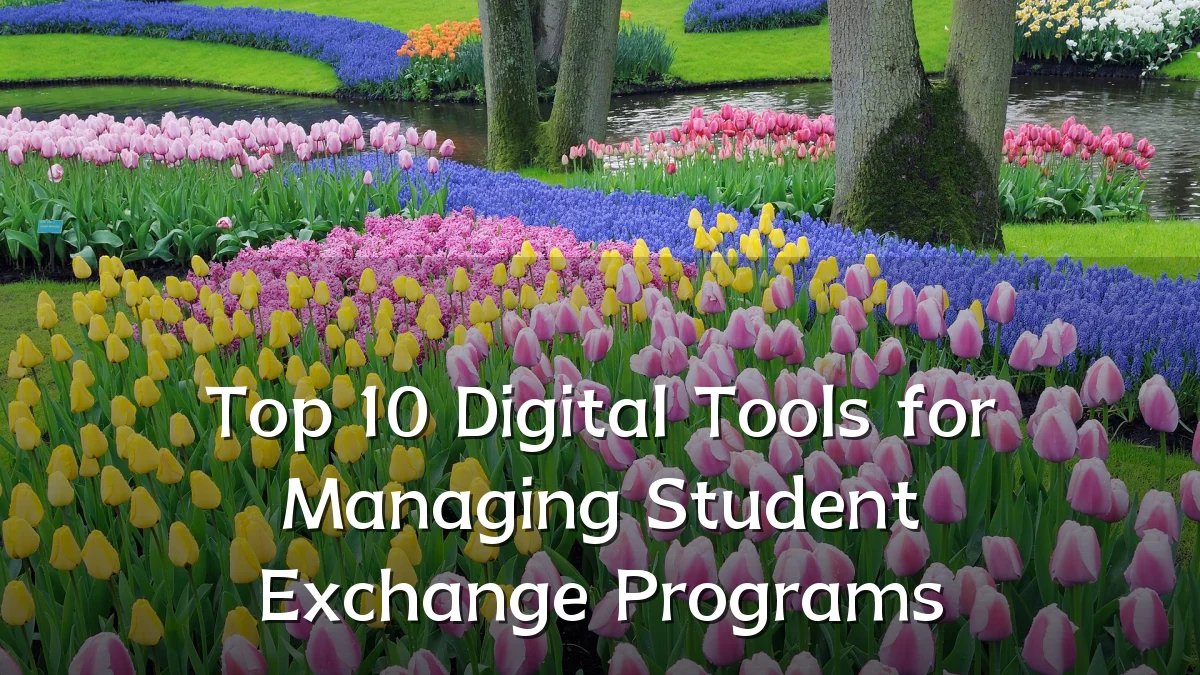 Top 10 Digital Tools for Managing Student Exchange Programs