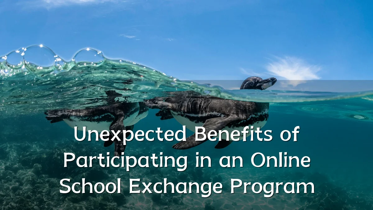 Unexpected Benefits of Participating in an Online School Exchange Program