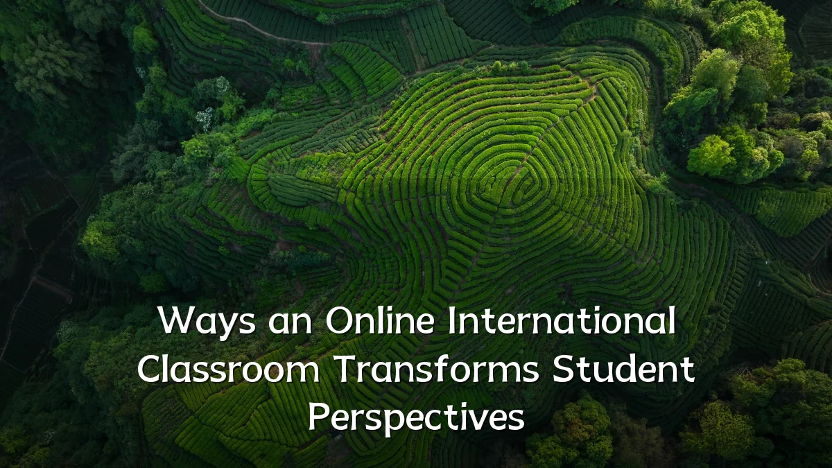 Ways an Online International Classroom Transforms Student Perspectives