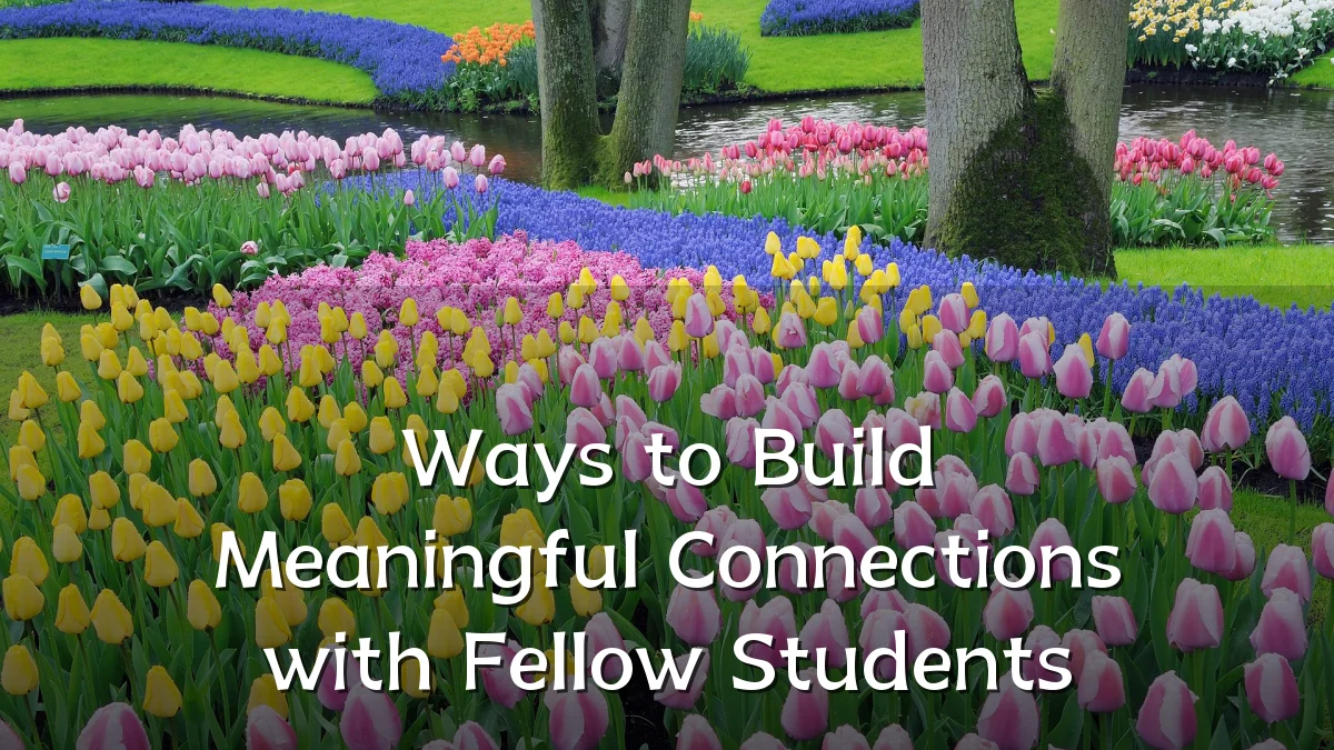 Ways to Build Meaningful Connections with Fellow Students