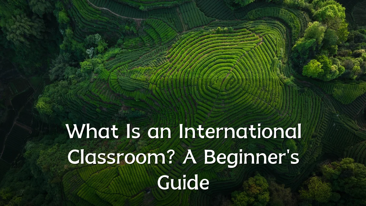 What Is an International Classroom? A Beginner's Guide