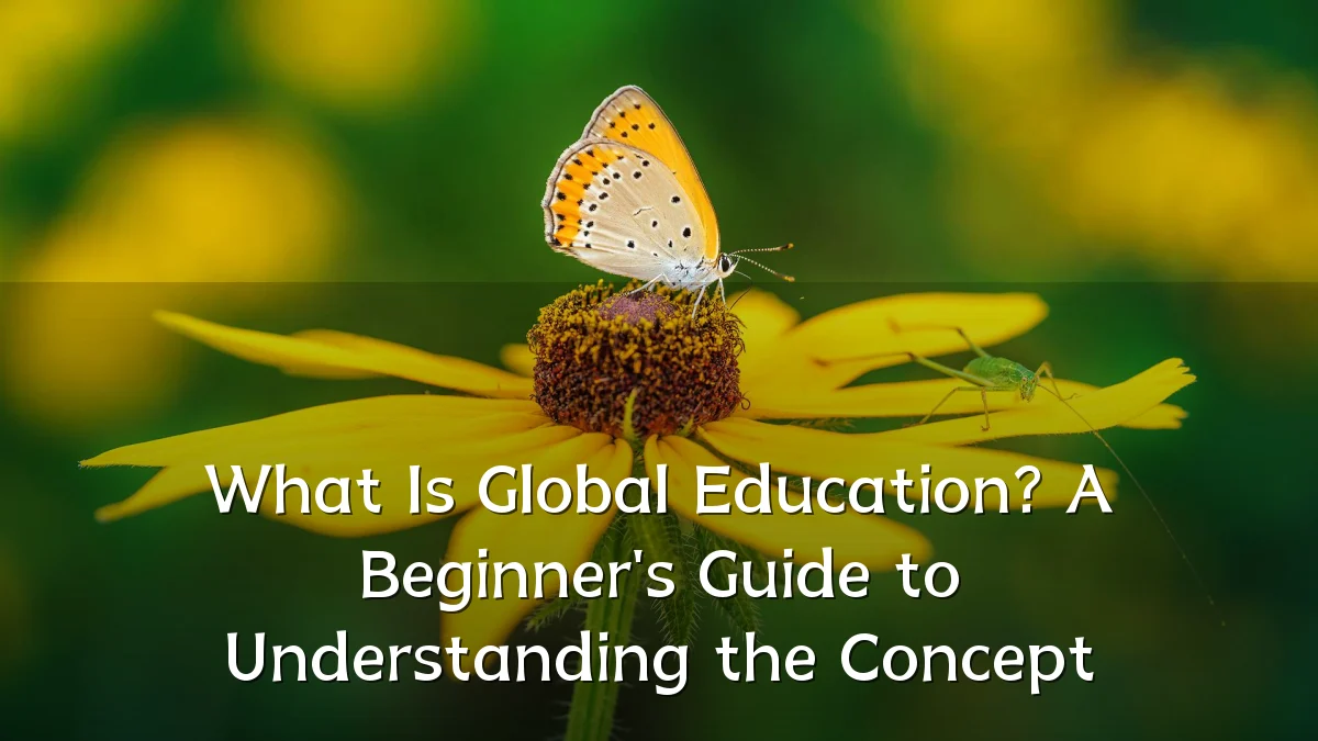 What Is Global Education? A Beginner's Guide to Understanding the Concept