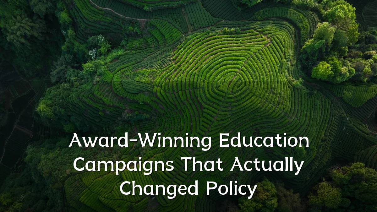 Award-Winning Education Campaigns That Actually Changed Policy