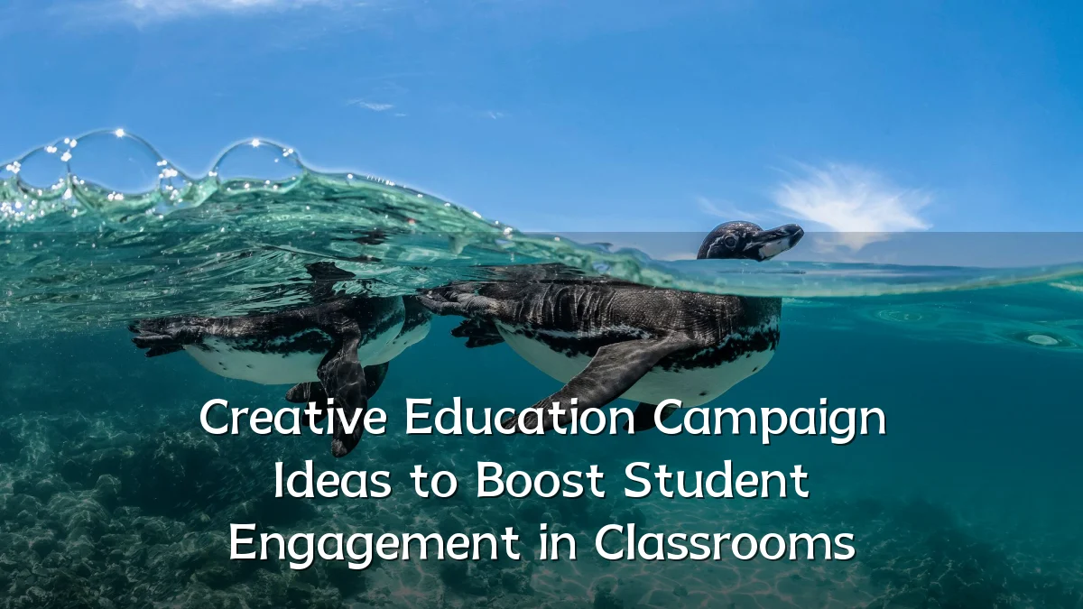 Creative Education Campaign Ideas to Boost Student Engagement in Classrooms