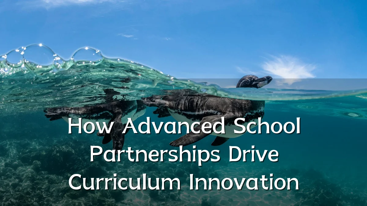 How Advanced School Partnerships Drive Curriculum Innovation