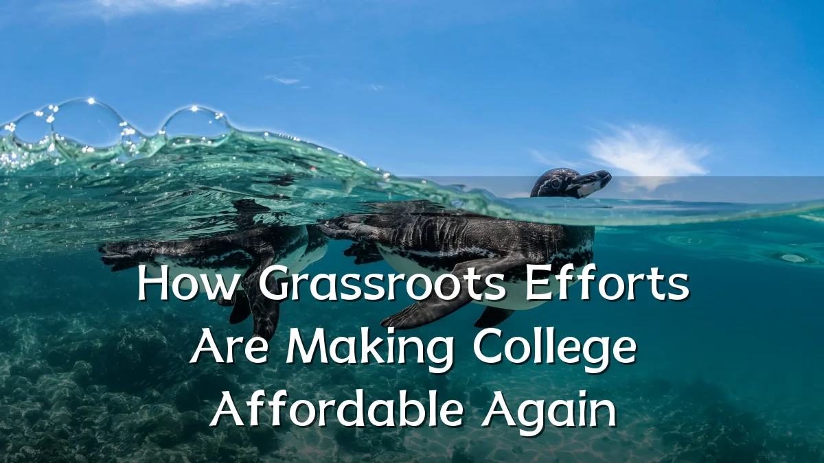 How Grassroots Efforts Are Making College Affordable Again