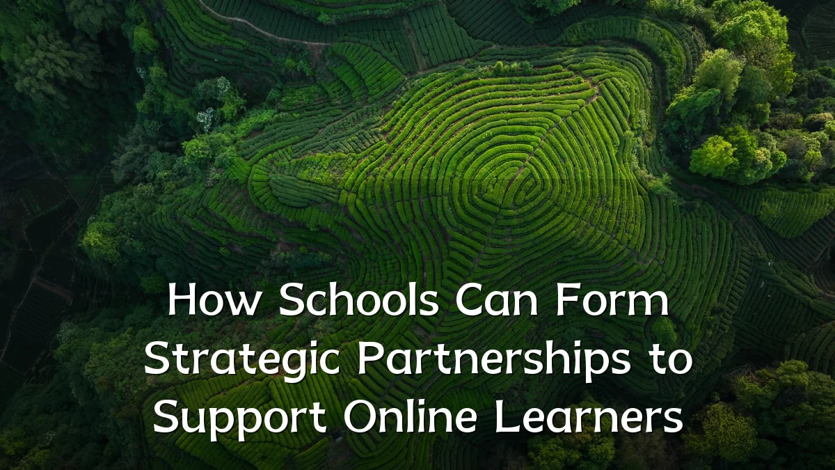 How Schools Can Form Strategic Partnerships to Support Online Learners