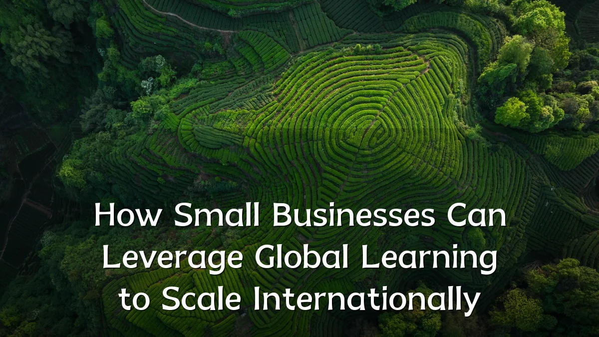How Small Businesses Can Leverage Global Learning to Scale Internationally