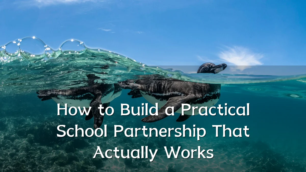 How to Build a Practical School Partnership That Actually Works