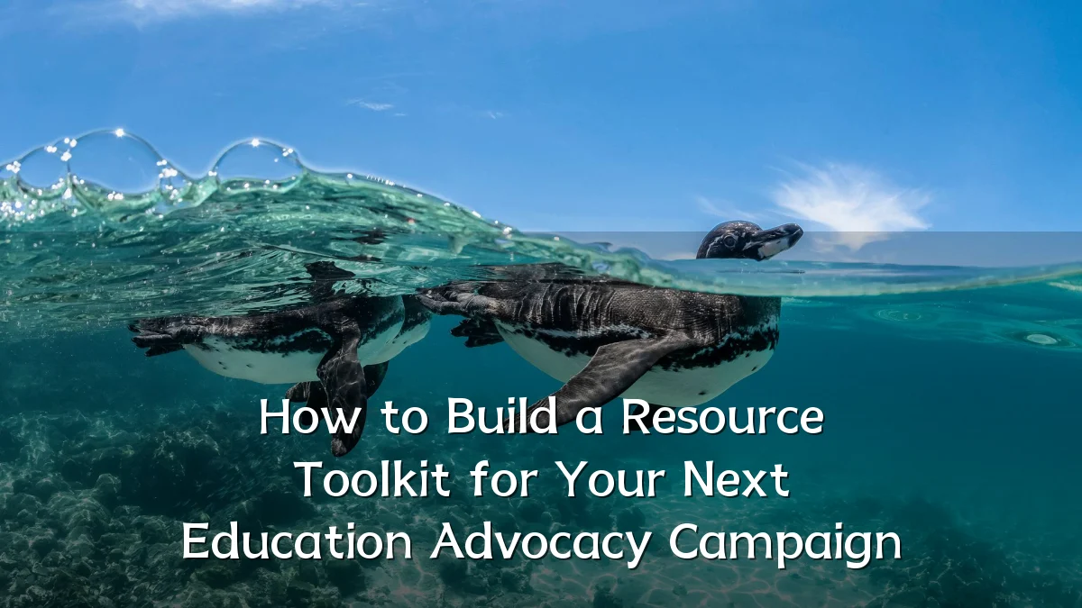 How to Build a Resource Toolkit for Your Next Education Advocacy Campaign