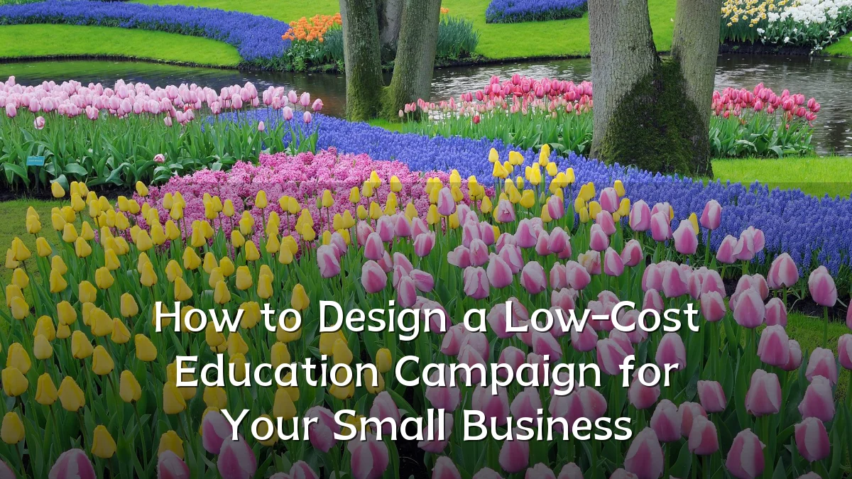 How to Design a Low-Cost Education Campaign for Your Small Business