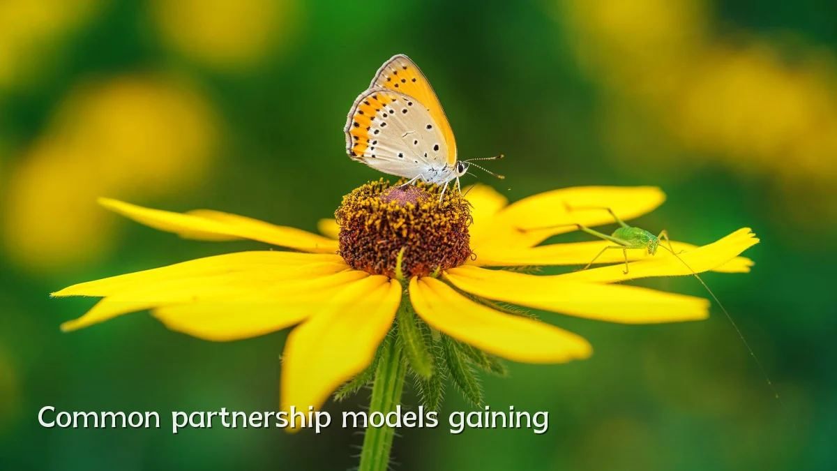 Common partnership models gaining