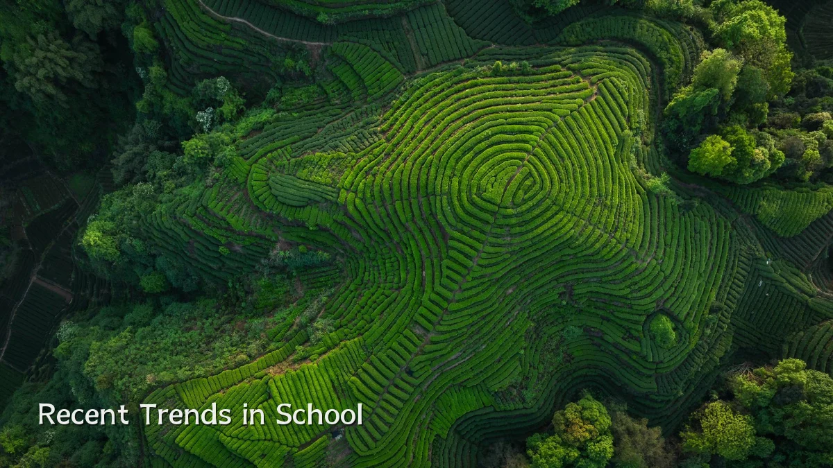 Recent Trends in School