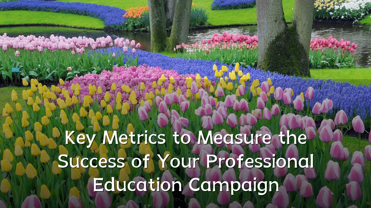 Key Metrics to Measure the Success of Your Professional Education Campaign