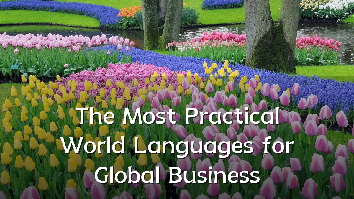The Most Practical World Languages for Global Business
