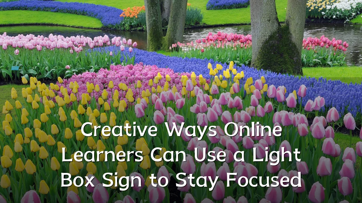 Creative Ways Online Learners Can Use a Light Box Sign to Stay Focused
