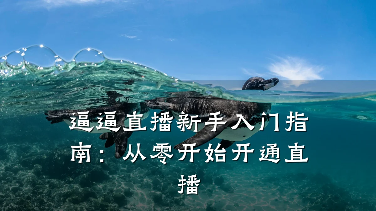 逼逼直播新手入门指南:从零开始开通直播